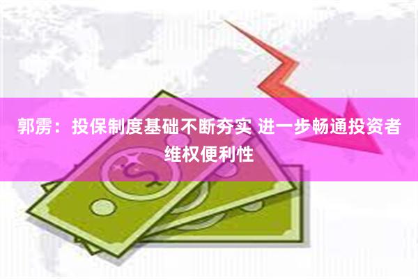 郭雳：投保制度基础不断夯实 进一步畅通投资者维权便利性