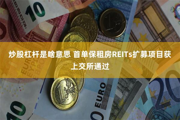 炒股杠杆是啥意思 首单保租房REITs扩募项目获上交所通过