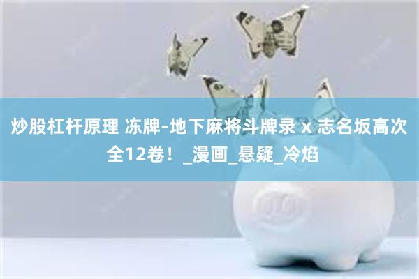 炒股杠杆原理 冻牌-地下麻将斗牌录 x 志名坂高次 全12卷！_漫画_悬疑_冷焰