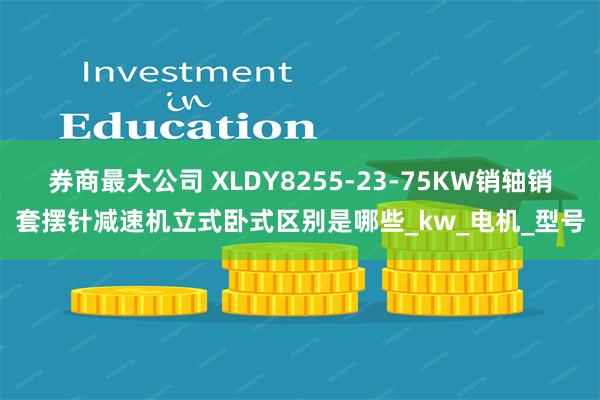券商最大公司 XLDY8255-23-75KW销轴销套摆针减速机立式卧式区别是哪些_kw_电机_型号