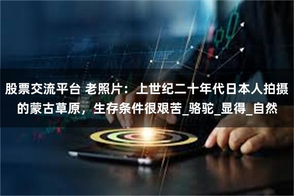 股票交流平台 老照片：上世纪二十年代日本人拍摄的蒙古草原，生存条件很艰苦_骆驼_显得_自然