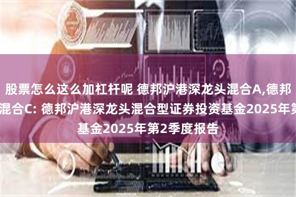 股票怎么这么加杠杆呢 德邦沪港深龙头混合A,德邦沪港深龙头混合C: 德邦沪港深龙头混合型证券投资基金2025年第2季度报告