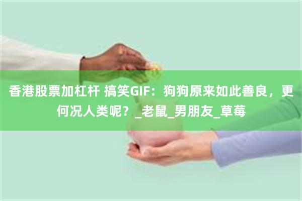 香港股票加杠杆 搞笑GIF：狗狗原来如此善良，更何况人类呢？_老鼠_男朋友_草莓