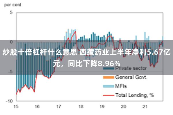 炒股十倍杠杆什么意思 西藏药业上半年净利5.67亿元，同比下降8.96%