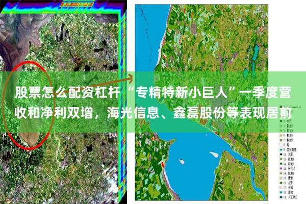 股票怎么配资杠杆 “专精特新小巨人”一季度营收和净利双增，海光信息、鑫磊股份等表现居前
