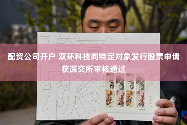 配资公司开户 双环科技向特定对象发行股票申请获深交所审核通过