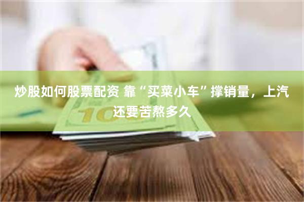 炒股如何股票配资 靠“买菜小车”撑销量，上汽还要苦熬多久
