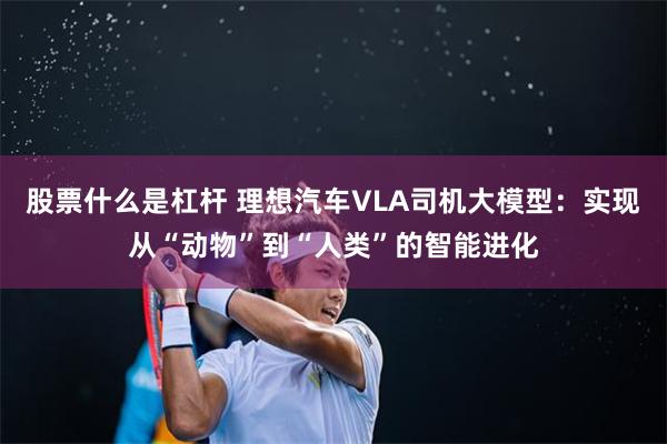 股票什么是杠杆 理想汽车VLA司机大模型：实现从“动物”到“人类”的智能进化