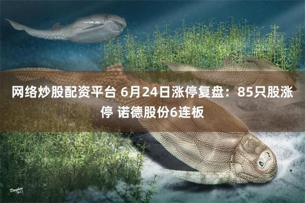 网络炒股配资平台 6月24日涨停复盘：85只股涨停 诺德股份6连板