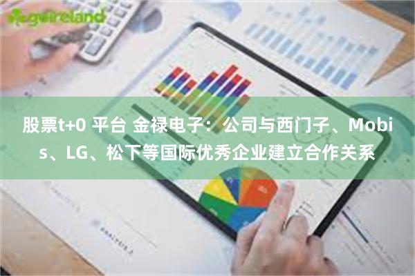 股票t+0 平台 金禄电子：公司与西门子、Mobis、LG、松下等国际优秀企业建立合作关系