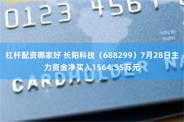 杠杆配资哪家好 长阳科技(688299)7月28日主力资金净买入1564.55万元