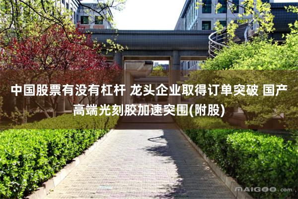 中国股票有没有杠杆 龙头企业取得订单突破 国产高端光刻胶加速突围(附股)