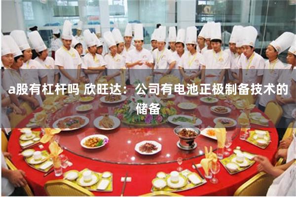 a股有杠杆吗 欣旺达：公司有电池正极制备技术的储备