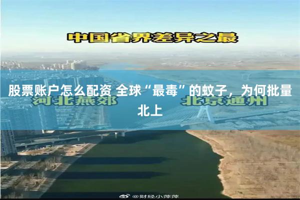 股票账户怎么配资 全球“最毒”的蚊子，为何批量北上