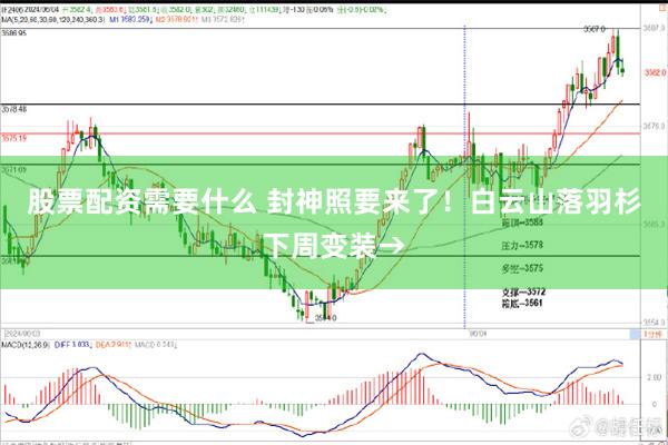 股票配资需要什么 封神照要来了！白云山落羽杉下周变装→