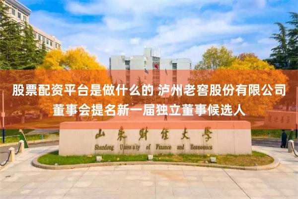 股票配资平台是做什么的 泸州老窖股份有限公司董事会提名新一届独立董事候选人