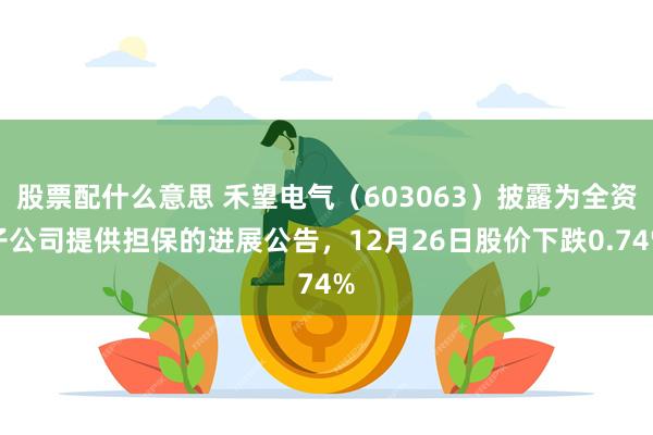 股票配什么意思 禾望电气（603063）披露为全资子公司提供担保的进展公告，12月26日股价下跌0.74%