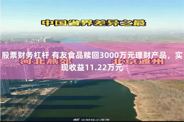股票财务杠杆 有友食品赎回3000万元理财产品，实现收益11.22万元