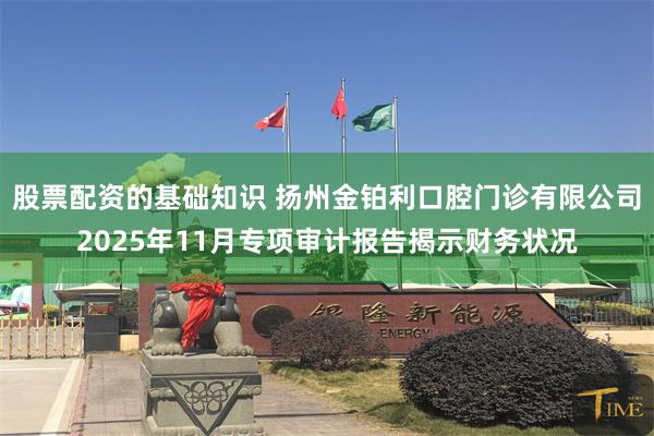 股票配资的基础知识 扬州金铂利口腔门诊有限公司2025年11月专项审计报告揭示财务状况