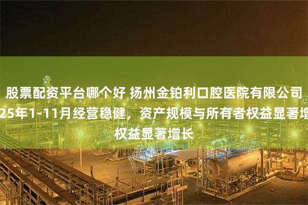 股票配资平台哪个好 扬州金铂利口腔医院有限公司2025年1-11月经营稳健,资产规模与所有者权益显著增长
