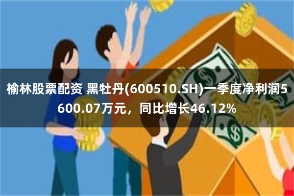 榆林股票配资 黑牡丹(600510.SH)一季度净利润5600.07万元，同比增长46.12%
