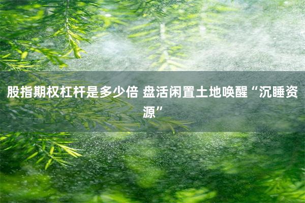 股指期权杠杆是多少倍 盘活闲置土地唤醒“沉睡资源”