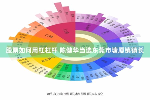 股票如何用杠杠杆 陈健华当选东莞市塘厦镇镇长